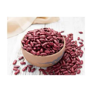 出口白色和红色芸豆淡淡的斑点高品质红芸豆价格便宜