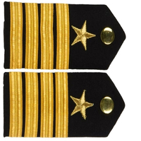 Nouvel Arrivage Badges d'épaule brodés lavables sur mesure en tissu toile brodé 3D pour uniformes de pilotes de ligne et de cérémonie