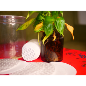 Vietnam Manufacturer's Die Cut Foam Seal Liners Good Choice Pressure Sensitive <b>Bottle</b> <b>Stopper</b> Paper Laminated Lid for Storing - Product Image 6