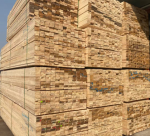 Planches en bois massif de hêtre de qualité supérieure, grandes planches en bois massif de tilleul, en vente - Product Image 5