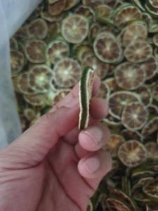 มะนาวแห้งหั่นเป็นชิ้นจากเวียดนาม สำหรับส่งออกจำนวนมาก ใช้สำหรับปรุงอาหาร เครื่องดื่ม และจำหน่ายขายส่งระหว่างประเทศ - Product Image 4