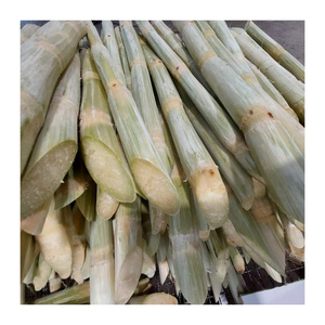 Exportador de caña de azúcar congelada de confianza en Vietnam: embalaje personalizado y suministro confiable para compradores globales - Product Image 3