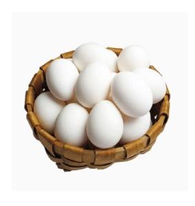 ซื้อไข่ไก่สีขาวและน้ำตาลสดไข่ฟาร์มคุณภาพสูงขายได้ในราคาถูกมาก - Product Image 3