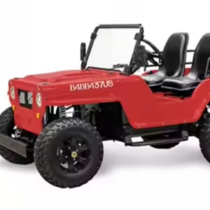 Nuevos Go Karts Todoterreno de 300cc y 2 Plazas, Listos para Enviar, Color Rojo - Product Image 1