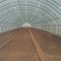 Serre agricole monopente à structure en acier galvanisé à chaud avec couverture en film PE transparent pour la culture de cultures côtières
