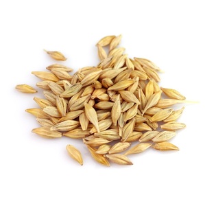 Granos de Cebada Orgánica Seca al por Mayor para Malta y Alimentación Animal |   Alimentos y Piensos de Grado Alimenticio Origen Colorado - Product Image 5