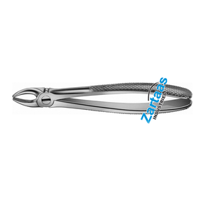 Pince à dents ANATOMICA en acier inoxydable de haute qualité Fig. 3 Fabricant d'instruments dentaires réutilisables - Product Image 2