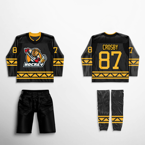 Jersey de Hockey sobre Hielo Personalizado con Gráfico de Mascota de León y Águila, Uniforme de Equipo, Nombre y Número del Jugador Personalizados, Cosido, de Alto Rendimiento - Product Image 1