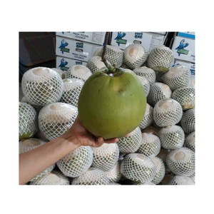 Cao Cấp Việt Nam Bán Husked Dừa Cho Xuất Khẩu Toàn Cầu Ngọt Ngào Và Ngon Ngọt Lâu Dài Tươi - Product Image 3