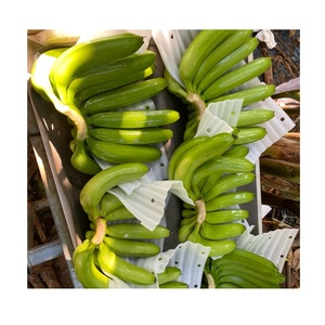 กล้วยสด กล้วย Cavendish สดและอร่อย เหมาะสําหรับการกินและอบ กล้วยเกษตรสดสไตล์หวาน - Product Image 3