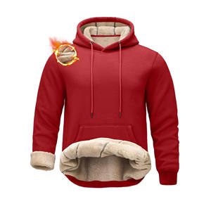 2025 Vente en gros de haute qualité Concevez vos conceptions de logo personnalisées Impression de marque privée Prix bon marché Sweats à capuche pour hommes - Product Image 1