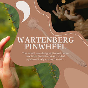 Acero inoxidable Wartenberg Neuro Pinwheel Premium Pinwheel Roller Prueba de reacción nerviosa neurológica Examen sensorial - Product Image 2