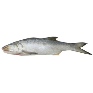 Filets de saumon kéta sauvage congelés de haute qualité frais et conservés dans la nature entiers avec tête et graisse emballés en vrac - Product Image 3