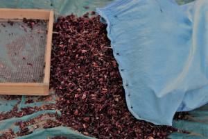 Flor de hibisco seca orgánica de la mejor calidad 100% al por mayor para té y zumo producto agrícola de plantación de madera utilizado para bebidas - Product Image 5