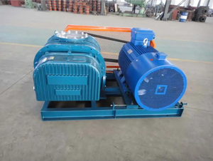 Soplador Rotatorio Eléctrico <span class=keywords><strong>Echo</strong></span> NSRH-125 con Aspas de Hierro Fundido de Alta Presión, Fuente de Corriente de CA de 380V para Sistema Neumático OEM - Product Image 2