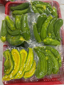 Mitades de aguacate Flash Frozen Hass empaquetadas a granel para servicio de alimentos Calidad de exportación Ideal para batidos y producción culinaria - Product Image 5