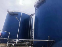 Digesteur anaérobie de type tour de 6000 m3, système de biodigestion de biogaz pour l'élevage de porcs, réacteurs de fermentation anaérobie