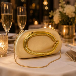 Sac de soirée pour femme avec chaîne, pochette bandoulière, sac à main de fête, fermeture magnétique, petit sac à bandoulière, Nouveauté 2026 - Product Image 2