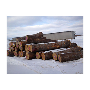 Leña secada al horno de alta calidad, madera mixta de haya y roble, Material de cambio de fase, tronco de haya a la venta - Product Image 5