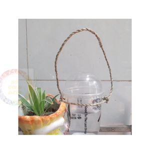 Descubre el encanto único de las asas de copa de algas marinas, perfectas para un estilo de vida sostenible y elegante - Product Image 3