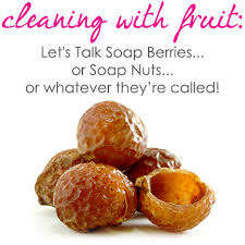 VietNam Herb Factory 100% Noix de savon d'extrait de plante naturelle | Poudre et extrait de noix de savon emballage 250 grammes/sac en papier - Product Image 6