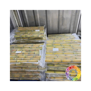 น้ำอ้อยแช่แข็งที่บรรจุในสุญญากาศรสชาติสดที่ยาวนานสำหรับการจัดเก็บส่งออกและการเตรียมที่รวดเร็ว - Product Image 3