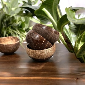 Bulk supply natural <b>coconut</b> <b>shell</b> bowls eco-friendly dinnerware coco bowl sets custom logo & packaging upon request - Product Image 2