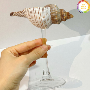 แก้วเปลือกหอยเวียดนามผลิตจากวัสดุเปลือกหอยแท้เหมาะสำหรับการจัดแสดงที่บ้านและการให้บริการทุกวัน - Product Image 6