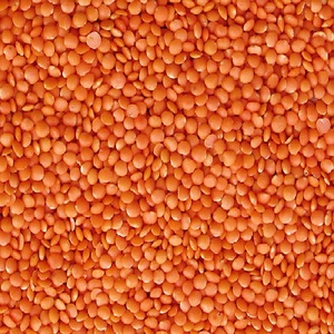 Lentejas rojas de la mejor calidad - Product Image 1