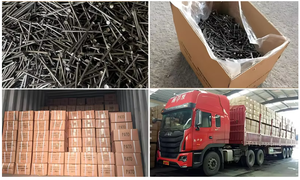 Chiodi in acciaio lucido argento, filo di ferro Q195 <span class=keywords><strong>2.3</strong></span>-<span class=keywords><strong>3</strong></span>.4mm, testa piatta/rotonda per legno/costruzione, viti e ancoraggi in calcestruzzo durevoli - Product Image 6