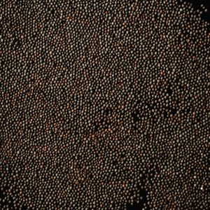 Épices uniques Assaisonnements Charme Huile Épice Graines de moutarde noire biologique-Acheter Graines de moutarde noire biologique Graines de moutarde Charme Épice - Product Image 2