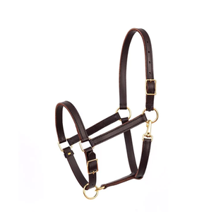Cabestro de trabajo de cuero de 7/8 pulgadas personalizado para caballos plegado con personalización de nombre - Product Image 1