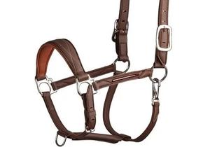 DIRECT DE L'USINE CHEVAL COLLIER CUIR DOUX RÉGLABLE CUIR VÉRITABLE CHEVAL COLLIER QUINCAILLERIE ACIER INOXYDABLE - Product Image 4