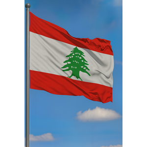 Custom World <b>Flag</b>-Digital Printing Aluminum <b>Pole</b> Nylon/Polyester/Vinyl/Plastic/Silk Materials Display Usage - Product Image 3