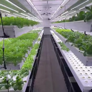 Ferme hydroponique avancée d'intérieur pour légumes-feuilles avec surveillance à distance via application mobile et technologie climatique intelligente - Product Image 6