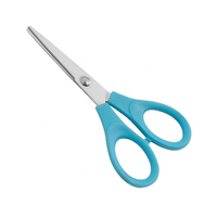 Ciseaux à ongles droits en acier inoxydable, pointus et brillants, confortables pour droitiers, pour manucure et coiffure