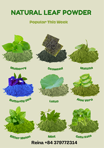 LECHE DE COCO EN POLVO SECA POR SPRAY-SABOR SUAVE Y NATURAL DE VIETNAM - Product Image 6