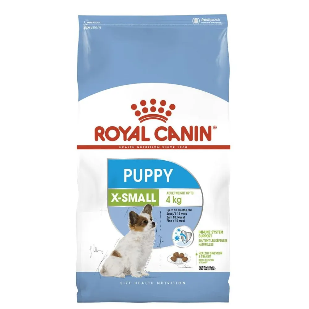 Comida Royal Canin original para adultos e gatos, 24 ração seca/comida Royal Canin Giant para mãe e bebê, comida para cães, disponível agora