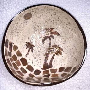 Bol de noix de Coco au Design classique 100% naturel écologique, bol de salade de soupe écologique, Logo personnalisé OEM - Product Image 6