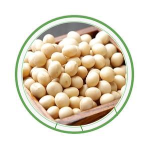 Soja Orgánica de Alta Calidad / Granos de Soya Secos a Granel 25 kg Disponibles para la Venta a Bajo Precio - Product Image 2