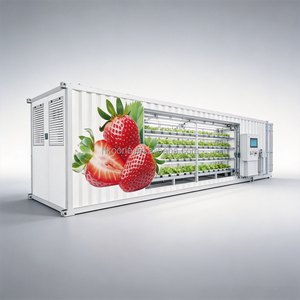High Yield Vertical Strawberry Growing Container Farm with Smart IOT Environment Monitoring and LED Grow Lights for Commercial - Product Image 5