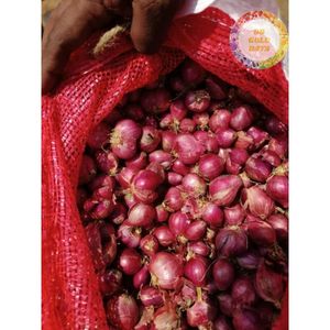 EXPORT STANDARD <b>DRIED</b> SHALLOT PURPLE <b>ONION</b> FROM VIETNAM FOR GLOBAL IMPORTERS AND DISTRIBUTORS - Product Image 3