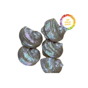 ผู้ถือแหวนผ้าเช็ดปากชายฝั่งทะเลแบบเรียบง่ายของตกแต่งเปลือกธรรมชาติแบบยั่งยืนสำหรับโรงแรมงานแต่งงานสถานที่รับประทานอาหารชั้นดีสไตล์นางฟ้า - Product Image 3