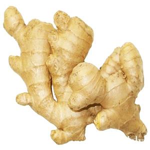 Gingembre frais au meilleur prix - Product Image 5