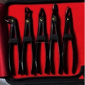 WORLD PRECISION SURGICAL Kit chirurgical manuel d'extraction dentaire en argent, 10 pièces, en acier inoxydable, avec poignée ergonomique, CE - Product Image 5