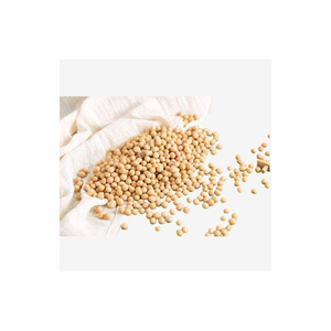 Livraison rapide de graines de soja de bonne qualité Grains de soja crus en sacs Graines de soja biologiques en vrac pour usage alimentaire et industriel - Product Image 5