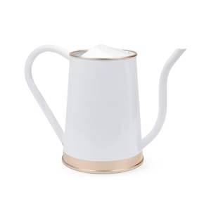 Regadera de metal, exportador de plantas, jardín interior y exterior, herramientas de jardinería sin óxido - Product Image 2