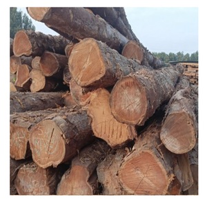 High Quality Oak Wood <b>Logs</b> For Making Furniture As Export Standard In Bulk With Competitive Price - Product Image 4