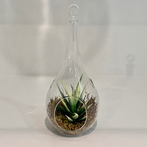 c - Portavelas Colgante - 9.4 - Product Image 2