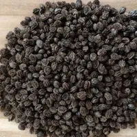 2026 SALE Aziatische Blauwe Lotus 100% Biologische Gedroogde Papajazaadjes Tropisch Fruit Huis & Tuin 24 Maanden Houdbaarheid Kruidenthee